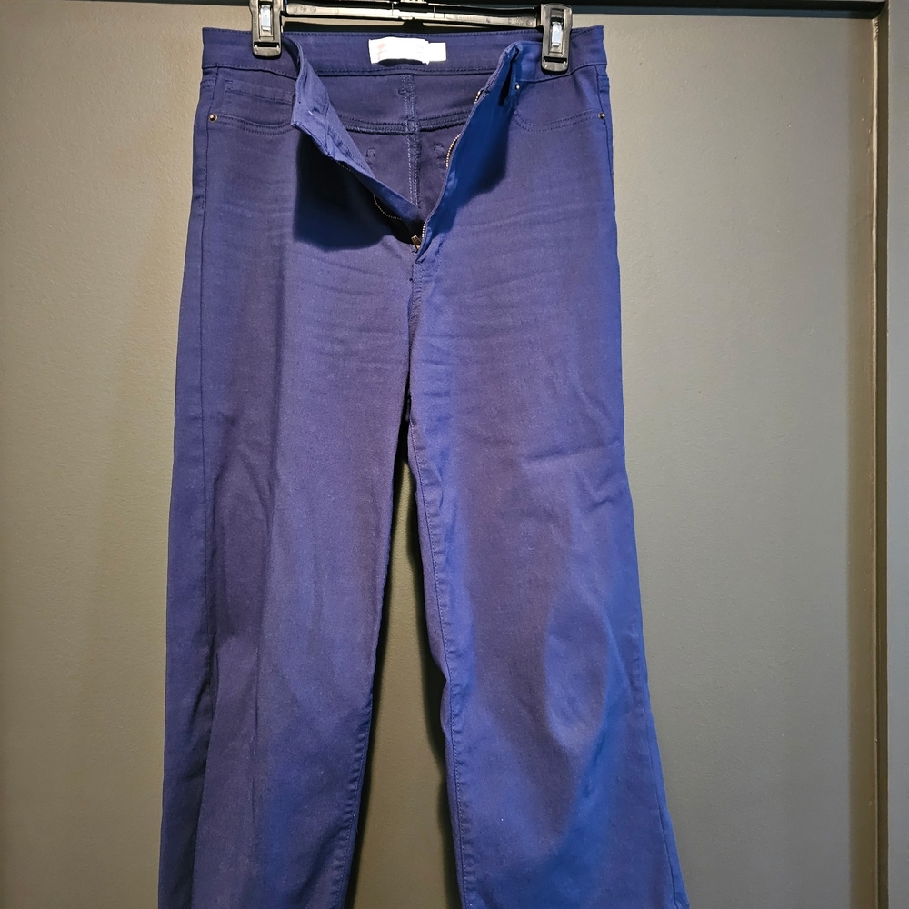 Women's Wide Leg Blue Pants